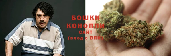 бошки Богданович